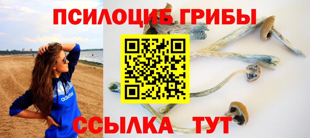 Галлюциногенные грибы Cubensis Нижнеудинск